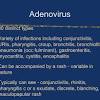 Adenovirus (adv) vectors have a number of positive and negative attributes. Https Encrypted Tbn0 Gstatic Com Images Q Tbn And9gct 5s13ra Eiwz6 Dyrn3xceowuhbzg1giymyt Pm0l Iwha9wn Usqp Cau