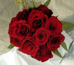Pin On Flower