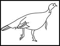 Draw the turkey's wing next. How To Draw Cartoon Turkeys Realistic Turkeys Drawing Tutorials Drawing How To Draw Turkeys Drawing Lessons Step By Step Techniques For Cartoons Illustrations