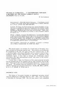 Image result for Ascolepis capensis