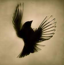 12 Inspiring Swallow And Sparrow Tattoos Sparrow Tattoo Best Cover Up Tattoos Sparrow Tattoo Design