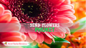 Add gifts to the order, if desired. The 7 Best Options To Send Flowers To Phuket 2021