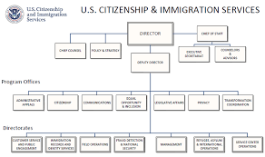 Free Dhs Organizational Chart Templates Download Free