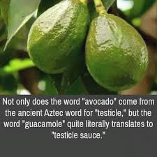 Image result for Avocado Light 1972 Montgomery Ward