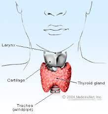It develops when multiple additional genetic changes occur that turn differentiated cancer—which is a. Thyroid Cancer Symptoms Signs Treatment Types Survival Rate