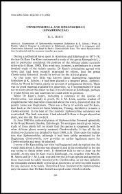 Image result for Siphonochilus kilimanensis