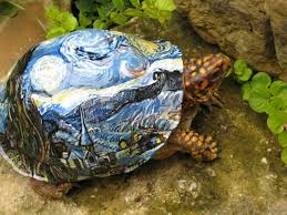 Pin By Diana Willette On I Love Animals Tortoise Turtle Turtle Turtle Love