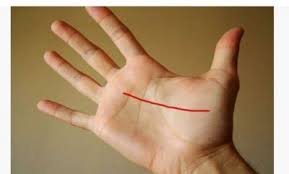 Palm line reading is the most important part of palmistry. News On Palm Reading Astrology Guide All Latest Updates On Palm Reading Astrology Guide News Track English Newstrack