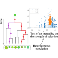 This is the published version of a paper published in physical review e. Physical Review Research Browse By Subject