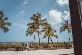 A Guide to the 30+ Best Things to do in Key West