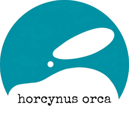 Fondazione Horcynus Orca | Messina