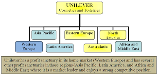 Unilevers Strategies For Competing In Foreign Markets