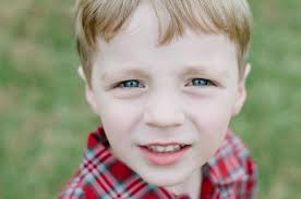 Where to find dahlia cuttings or tubers to trade in Middle Tennessee?