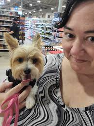 Yorkie companion love and appreciation