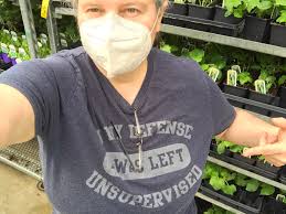 Lots of plants, seedings, lemons, succulents, shallots, seeds, bulbs etc