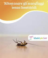 5 Trucchi Per Repellere Le Blatte Senza Usare Insetticidi Repellente Per Insetti Rimedi Naturali Repellente