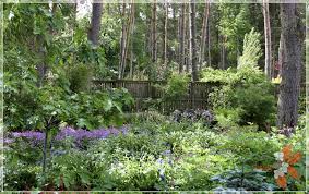 Scottish Woodland Garden Design Twig Garden Design Woodland Plants Woodland Garden