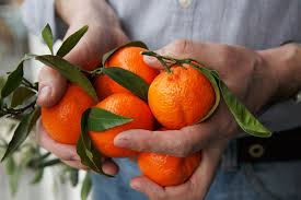 Wie viele kalorien man täglich benötigt. Clementine Sorten Kalorien Und Vitamine Migros Impuls