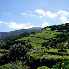 Vista do rei aux açores. Acores Region Certifiee Tourisme Durable Portugal En Francais