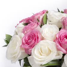 White roses on the other hand show purity, innocence and youthfulness and is indicated as the bridal rose due to its association with young love and eternal loyalty. Roses Pink And White Rose Bouquet Ode A La Rose Ode A La Rose