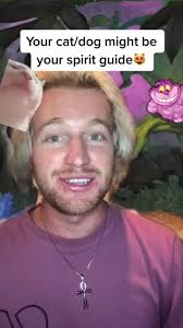 #stitch with @whosjustchris #blackcat #spiritguide #fyp