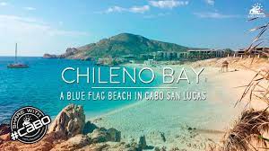 Chileno Bay A Blue Flag Beach In Cabo San Lucas Cabo San Lucas Beach San Lucas