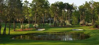 Image result for Pinehurst Green 1961 Imperial