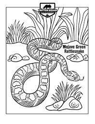 Download and print free baby rattlesnake coloring pages to keep little hands occupied at home; Snake Coloring Pages Archives C S W D