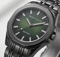 Amazon.com: Perry Ellis Solar Powered Mens Watch | Alloy ...