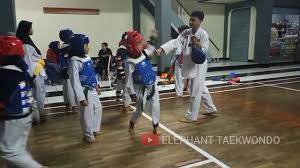 Historia del tkd en méxico historia del tkd en el mundo cronología del tkd código de conducta. Sparring Exercise Elephant Taekwondo Taekwondo Sman 4 Cimahi Youtube