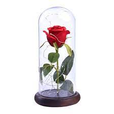 Red Rose Beauty And The Beast Enchanted Flower Glass Dome Valentines Xmas Walmart Com Walmart Com