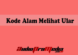 Ada mitos tentang mimpi hidup, seperti dekat dengan jodoh jika bermimpi seseorang dalam keluarga meninggal atau digigit ular jika bermimpi gigi patah. Kode Alam Melihat Ular Menurut Erek Erek Dan Buku Primbon Terbaru