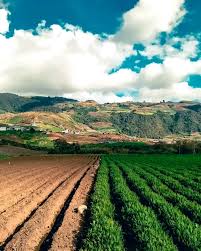 Plan de financiamiento con Dra Yoly Duran 04247109105 . . . .  #cirugiasenmérida