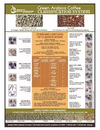 Green Arabica Class Chart Poster Scaa