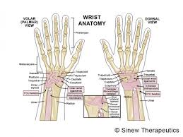 Grade 2 consists of a partial tear, while a complete tear is a grade 3. Wrist Sprain Strain Information Sinew Therapeutics