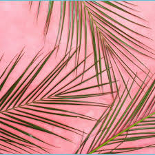 5 out of 5 stars. Pink Minimalist Wallpapers Wallpaper Cave