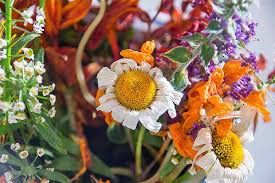 When i do take time to smell — and cut — the flowers, here's how i make sure my homegrown flower bouquets last for as long as possible 7 Tips You Need To Keep Fresh Flowers Fabulous Gardener S Path