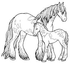 Roosters, lambs, turkey pages, pigs, racoon pages, cows, horses to color, chickens, farm horse coloring pages and zoo animal sheets are just a few of horse coloring pages and coloring pictures in this click a horse coloring pages picture below to go to the printable horse coloring pages. Horse Runs Trot Coloring Book The Horse Runs Trot Coloring Book Tinker Is A Thoroughbred Horse Stock Vector Illustration Of Mammal School 153662939