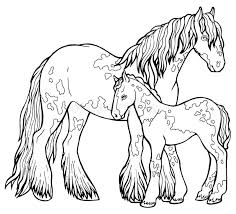 We did not find results for: Horse Runs Trot Coloring Book The Horse Runs Trot Coloring Book Tinker Is A Thoroughbred Horse Stock Vector Illustration Of Natural Tail 153663957