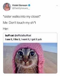 Dopl3r Com Memes Violet Benson Daddyissues Sister Walks Into My Closet Me Dont Touch My Sh T Her Buff Cat Officialbuffcat I See It I Like It I Want It I Got
