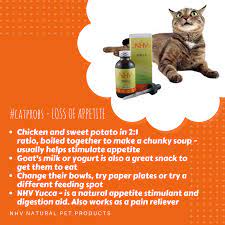 Pin On Natural Pet Products