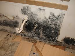 cleaning black mold .steps