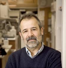 Galán Lab Current Members — The Galán Laboratory