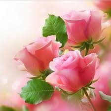 A wide variety of flower diamond painting options are available to you, such as subjects, style, and printing. Buy 5d Diy Handmade Diamond Painting Full Drill Art Kits Cross Stitch Pink Flowers Relieve Stress Leisure Home Accessories Gift At Affordable Prices Price 5 Usd Free Shipping Real Reviews With