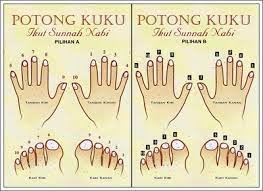 Tidak terdapat dalil sahih yang memberikan batasan waktu memotong kuku kemudian yang sunnah adalah mencabutnya sebagaimana telah dijelaskan dalam hadits. Ansara Di Twitter Cara Potong Kuku Ikut Sunnah Nabi P S Abaikan Lukisan Tangan Dan Kaki Yang Buruk Http T Co R3oxpnjmty