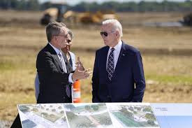 Image result for Bidens elliotii