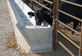 Found On Bing From Precast Org Livestock Barn Raising Farm Animals Cattle Feed