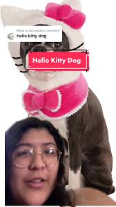 Reply to @katinaedits this dog looks so confused lmao #sanrio #sanriocore  #sanriogirl #sanrioaesthetic #sanriotiktok #sanrioboys #sanriofinds  #hellokitty #hellokittylover #hellokittycheck ...