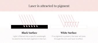 Here at calveo, we've got your back (whether you want hair removed there too or first things first, an understanding of what precisely the laser light does when removing unwanted hair is important for understanding what to do leading up. What Type Of Hair Is Best For Laser Hair Removal Urbana