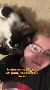 cats #catsoftiktok